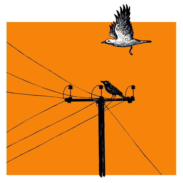 Banish the Crows - Illustration